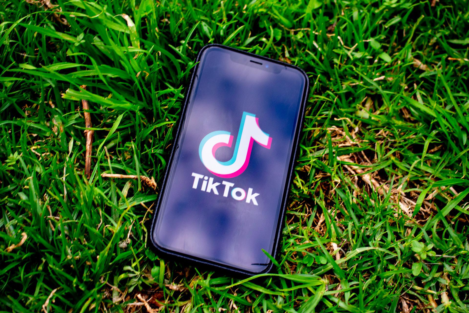 TikTok app on phone in a field
